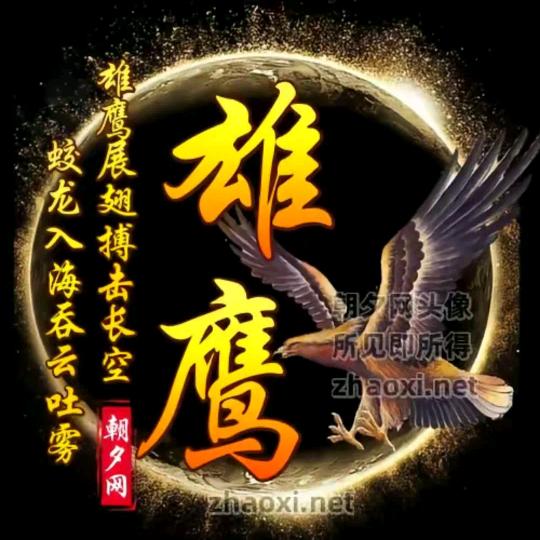 🦅雄鹰🦅