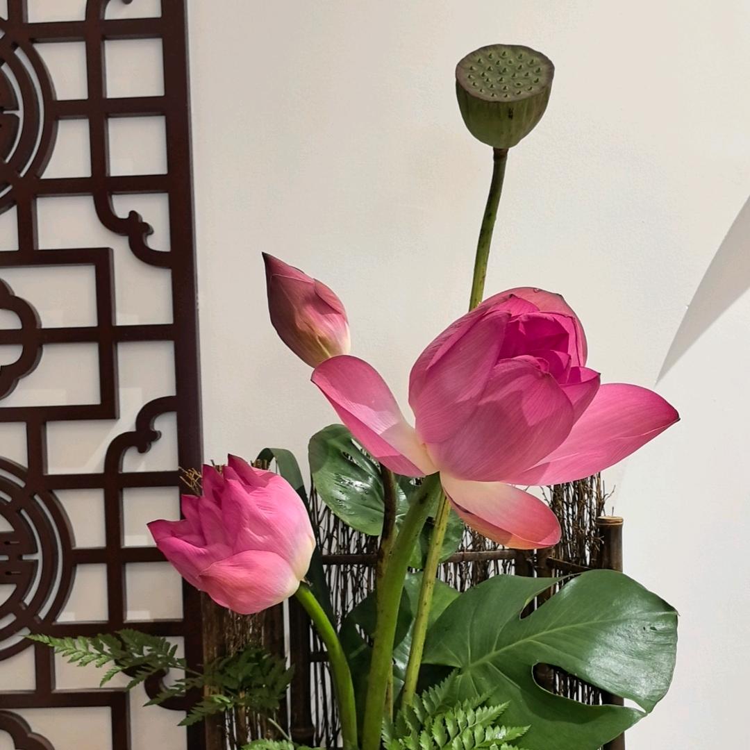 萍缘茶业