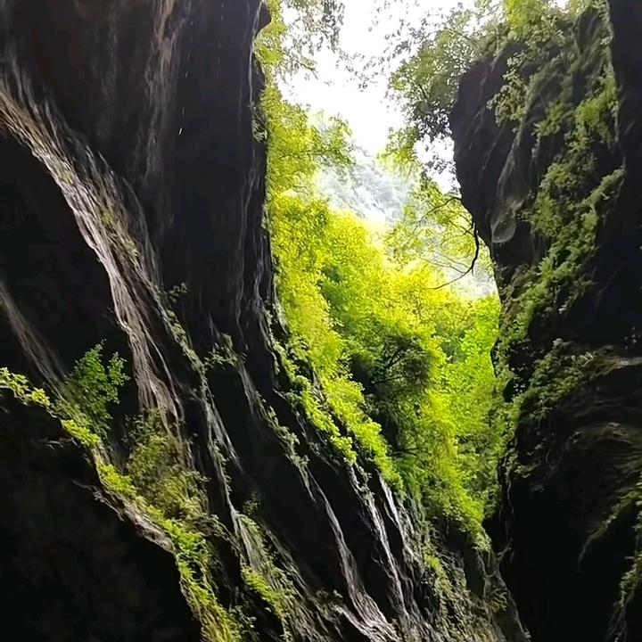 秦声戏语