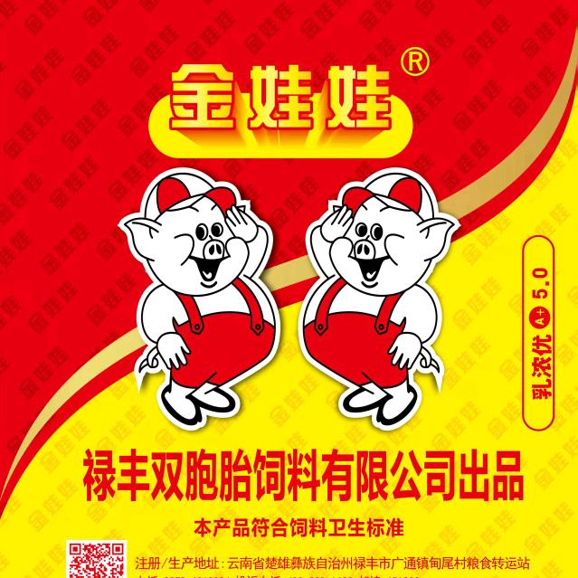 携手共进金娃娃