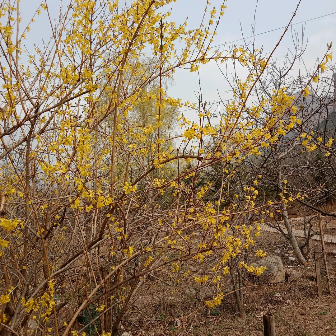 ？？？？？？农家小院