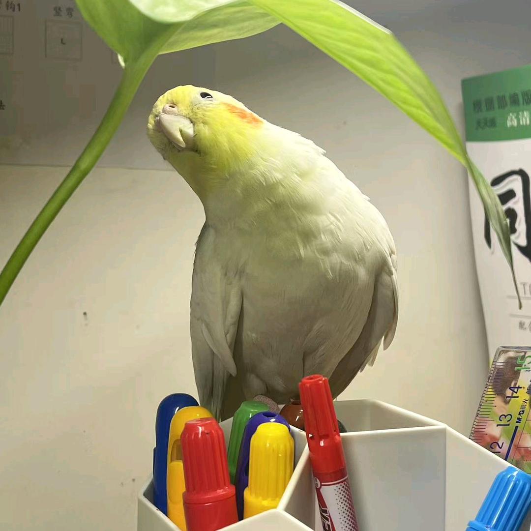春夏秋冬，