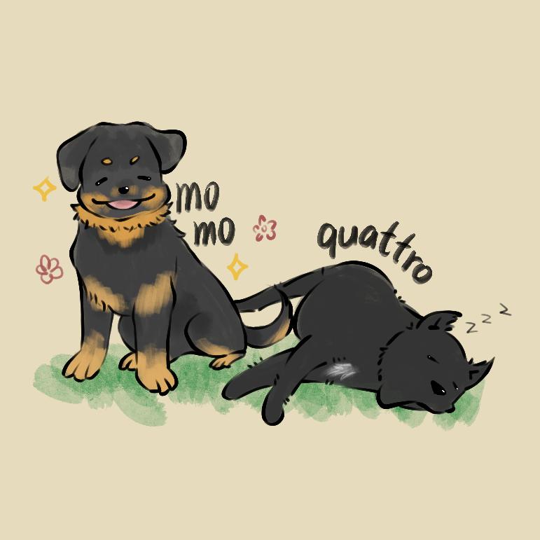 🦄千遂(suì)🐶