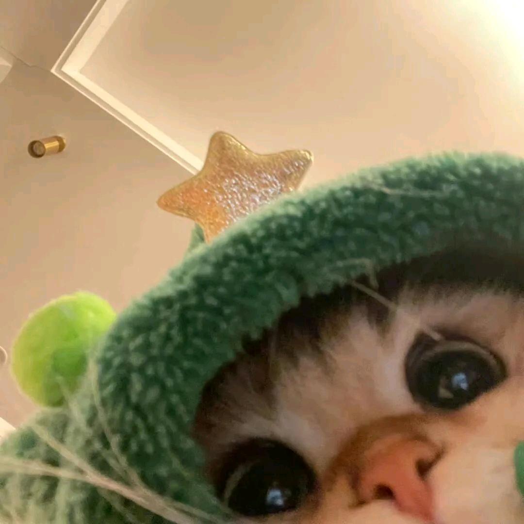 ö椰～