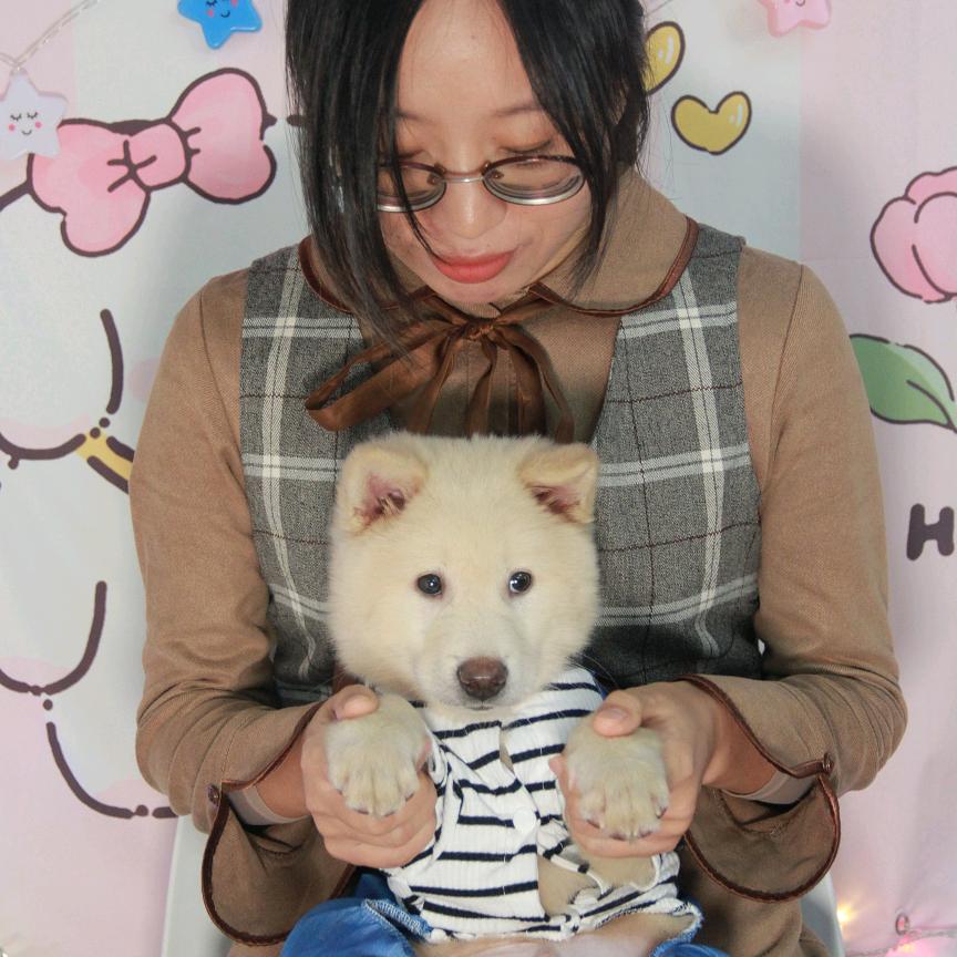 怕狗妈妈和摇摇