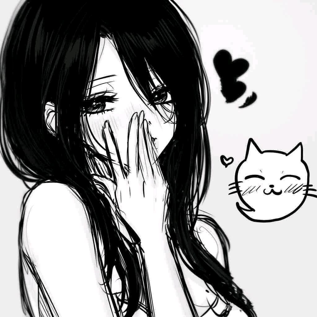 辰菲