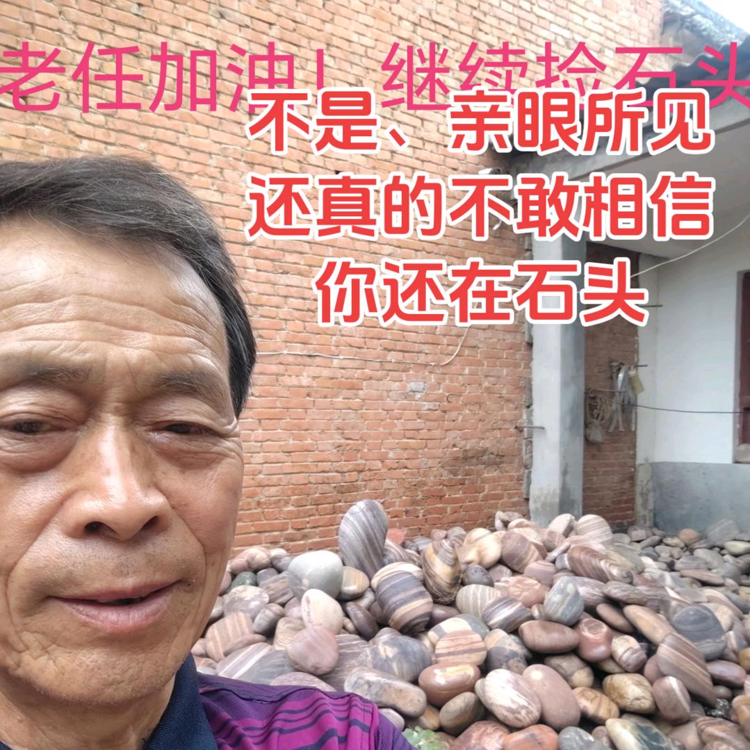 黄河石老任
