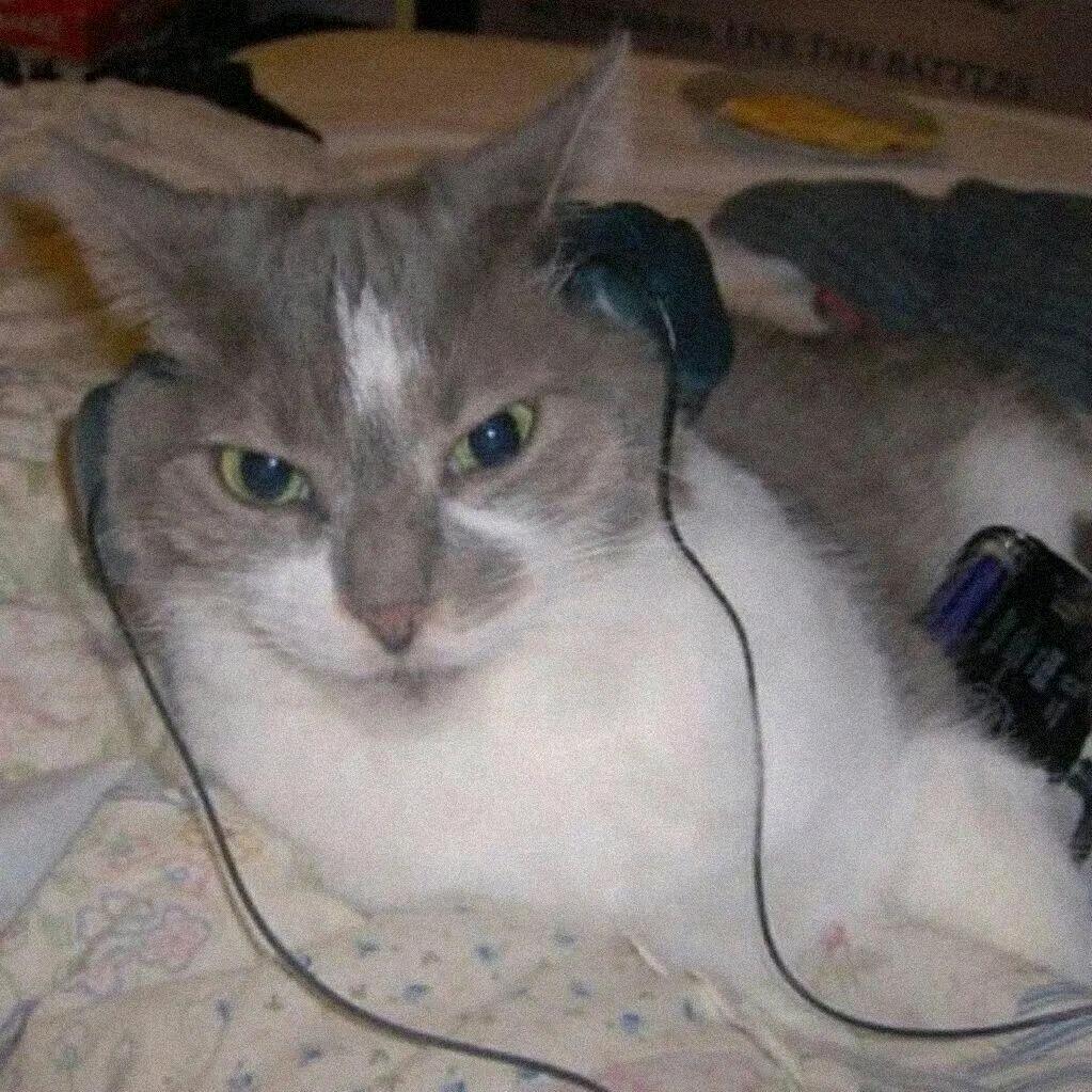 谁还不是爱马士