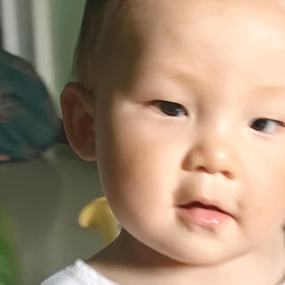 宇崽
