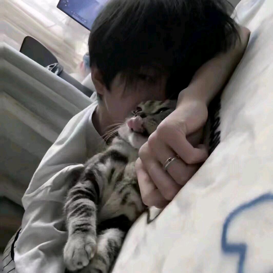 风风风风风
