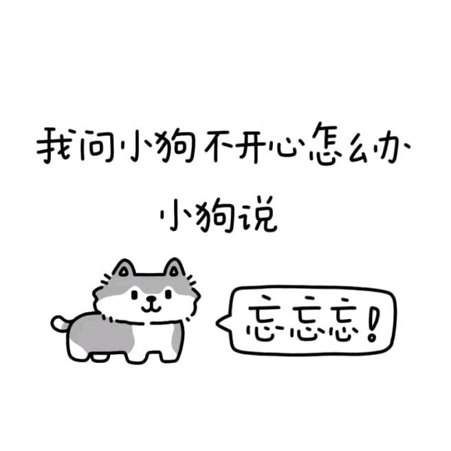 菲菲美女是老大