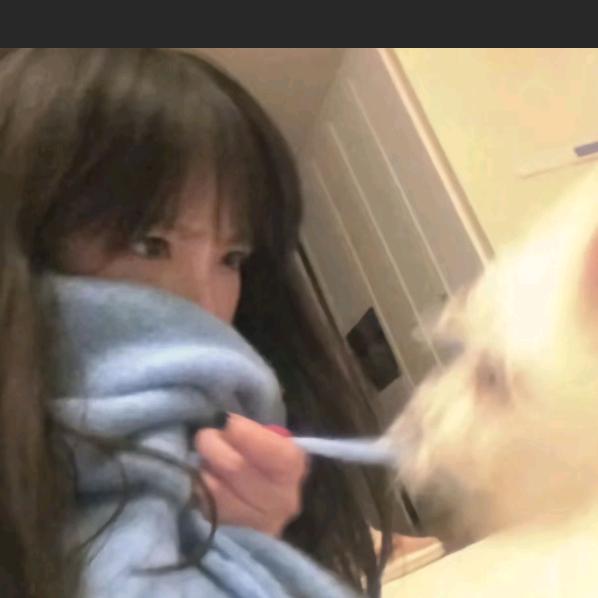 黛鸢