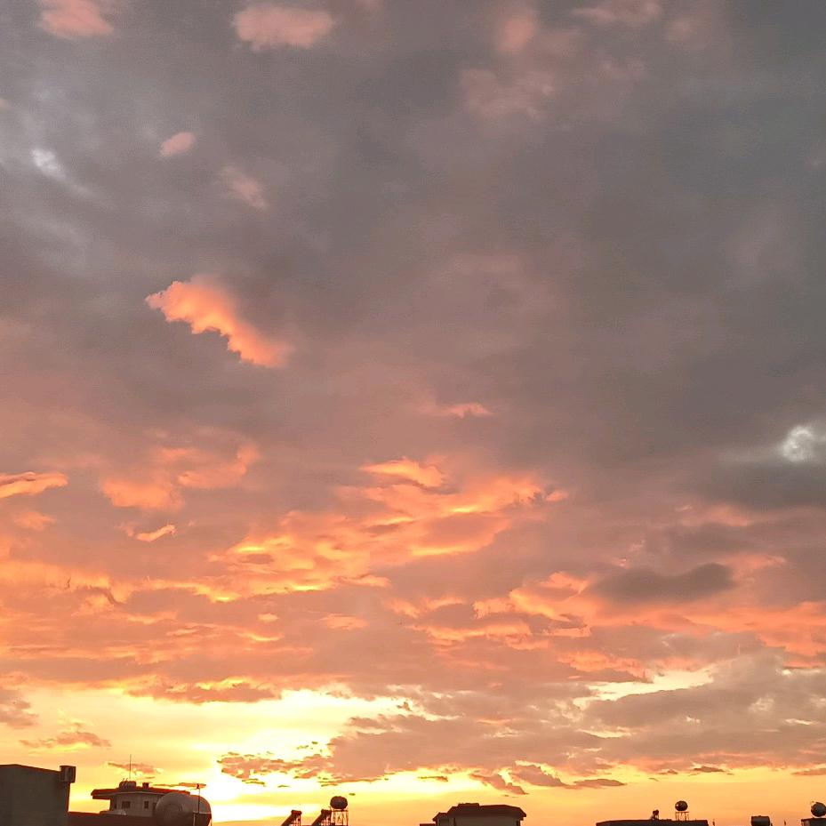 地膜