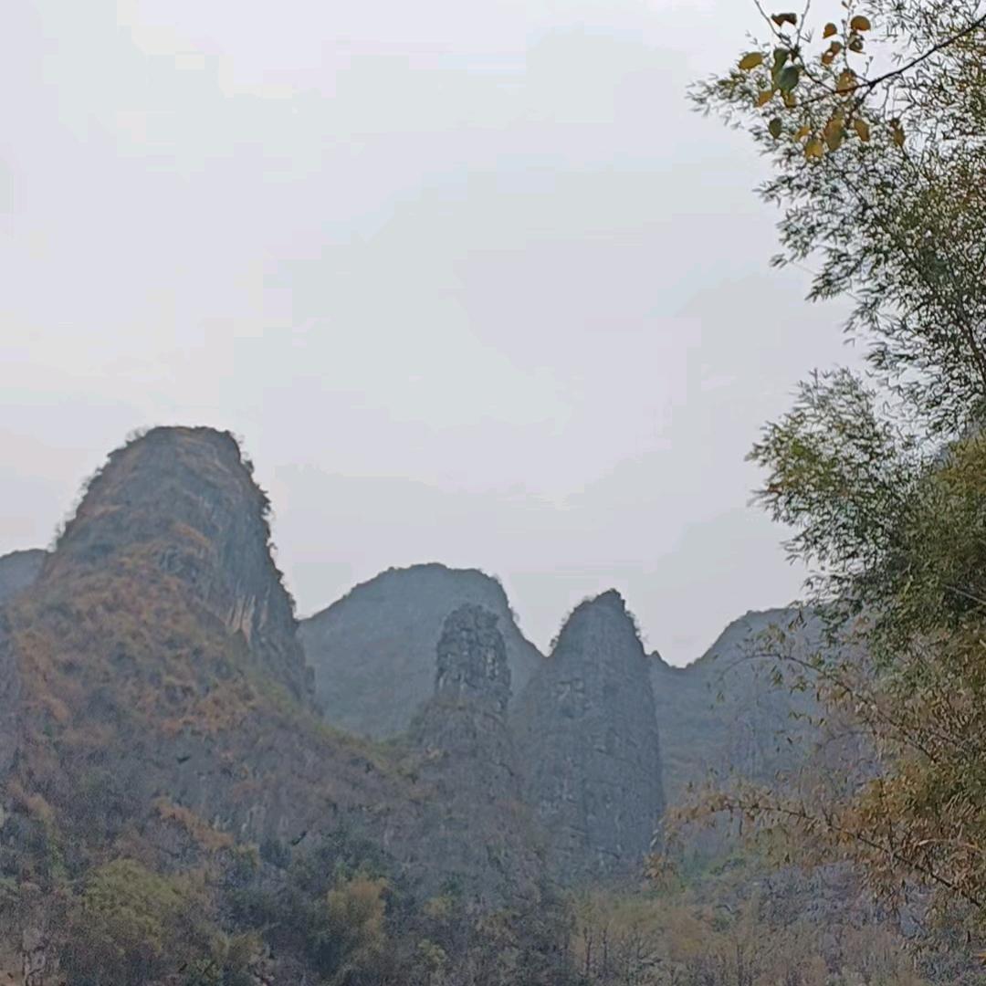 打工人聊天（12点开播)