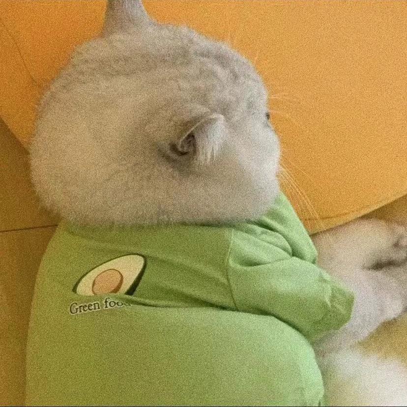 重生之我在友谊路卖酸奶饮