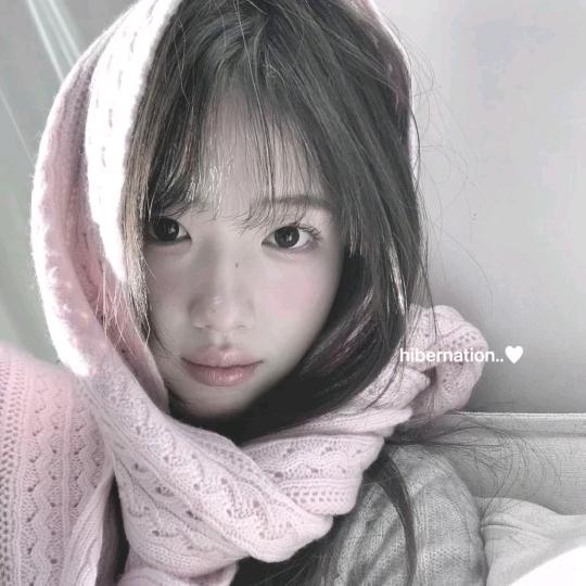 冻青梅🌸头像