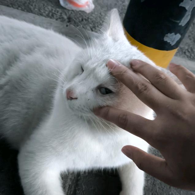 太幸运了