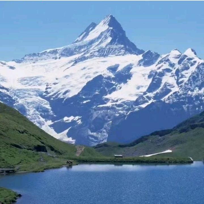 沈城