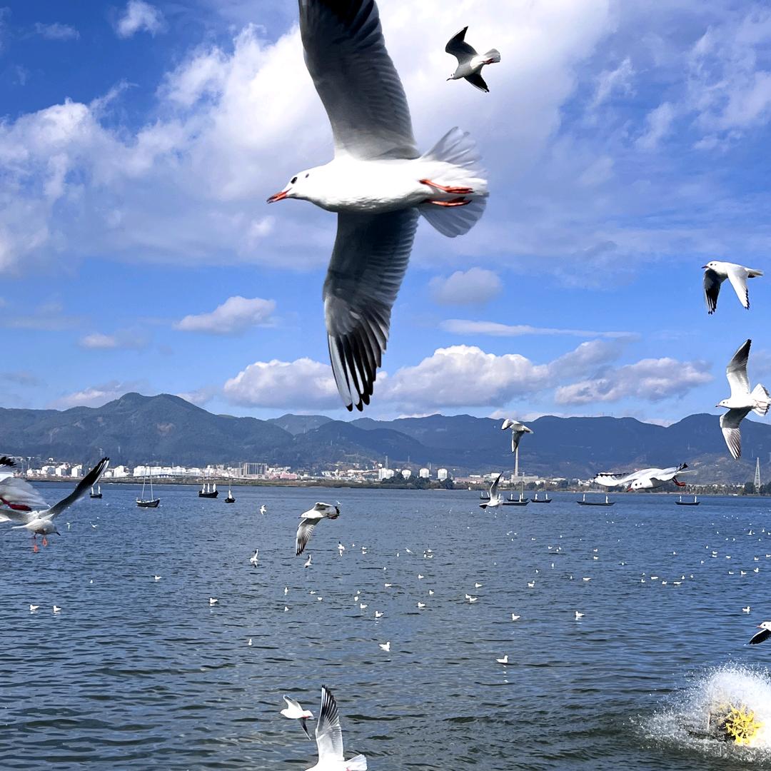 这个名字能记住