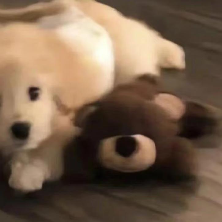 洋 （三角洲行动）