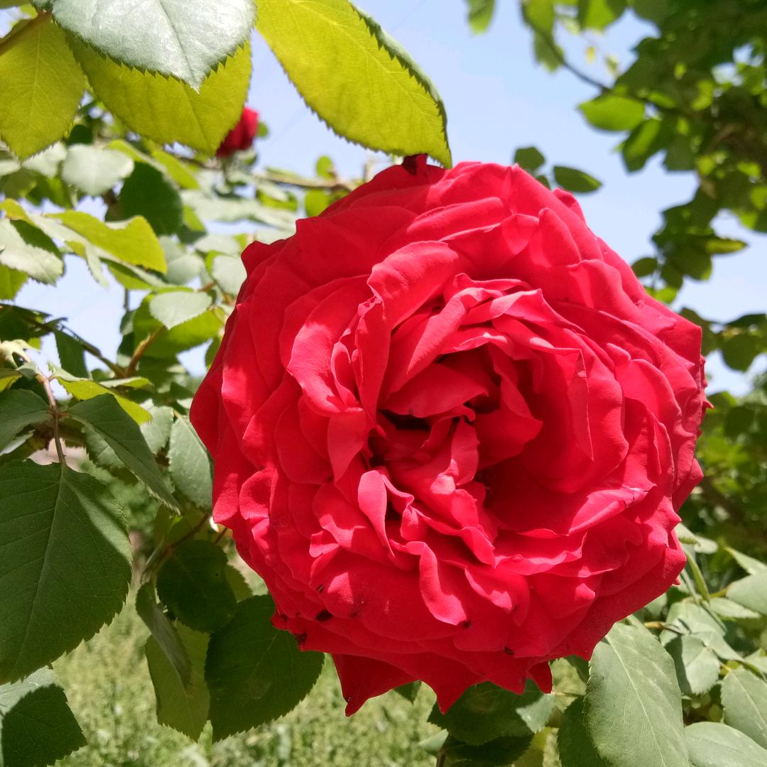 人心难测，冷暖自知