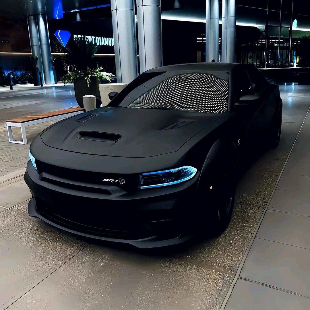 愿以轻舟度余生