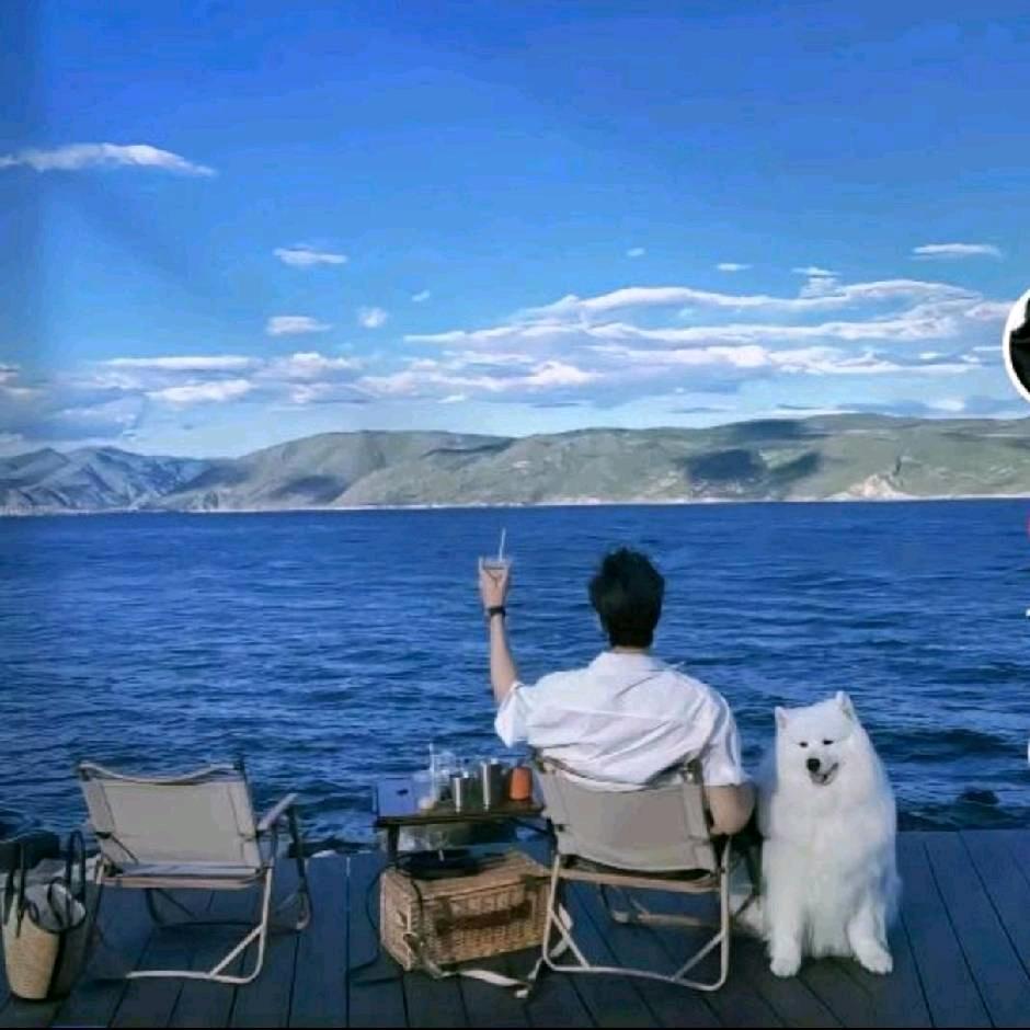 飘逸的流浪者。