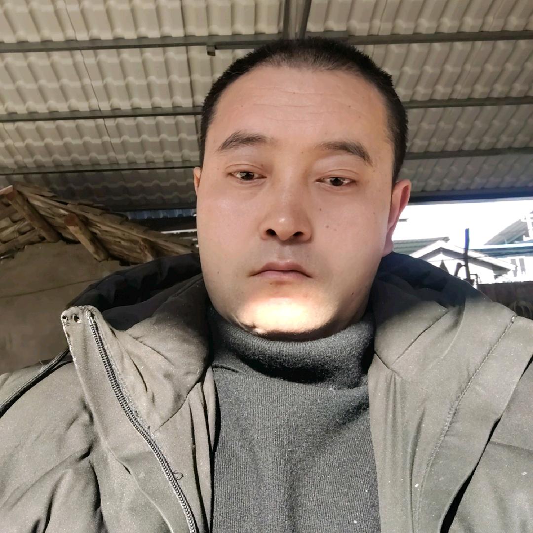 🐮🐮小强🐮🐮