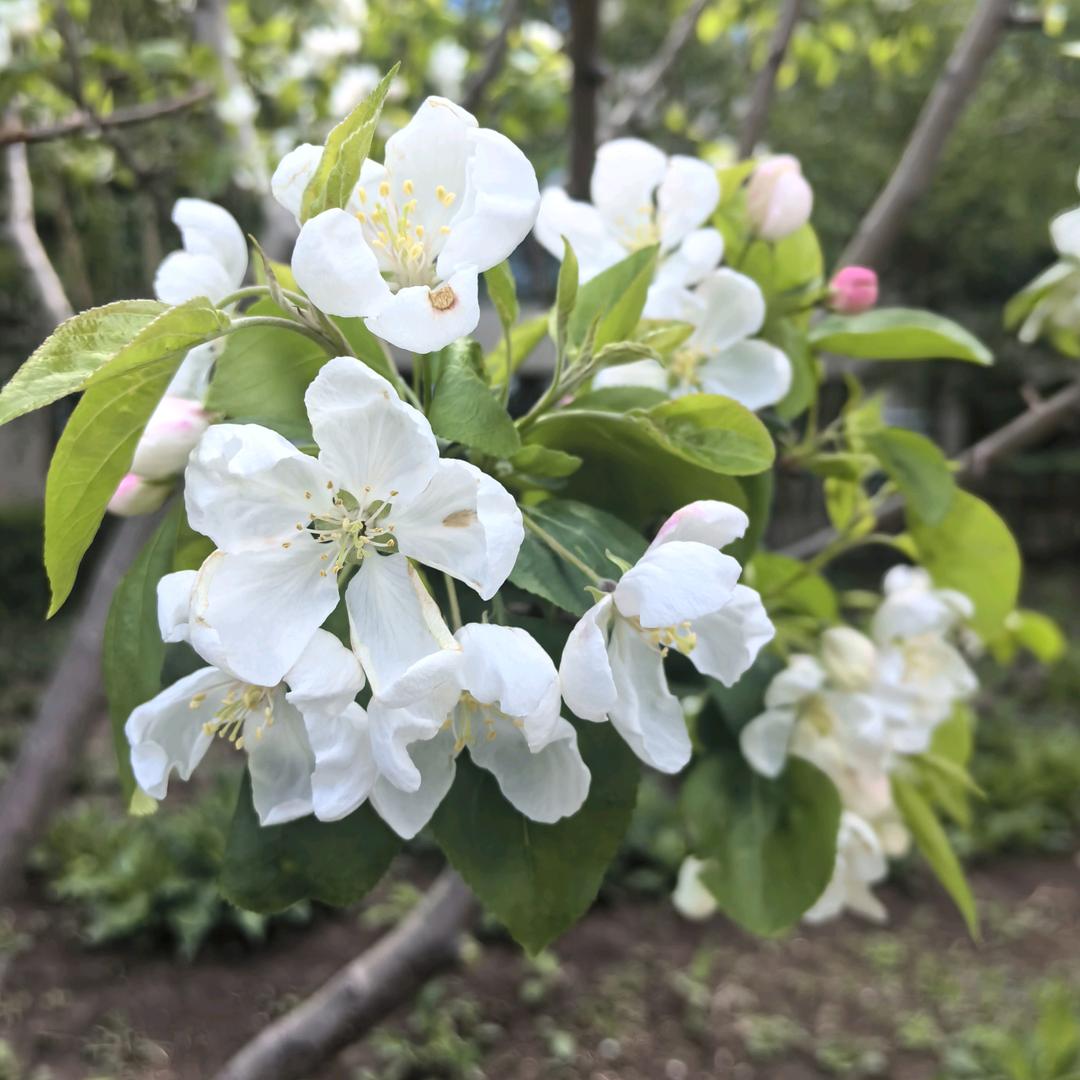 开心快乐每一天