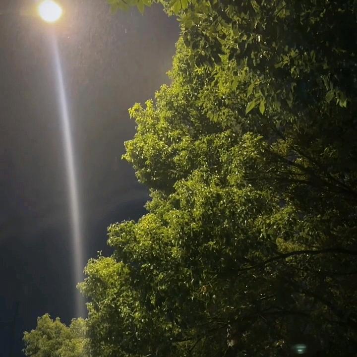 瑞光好物集