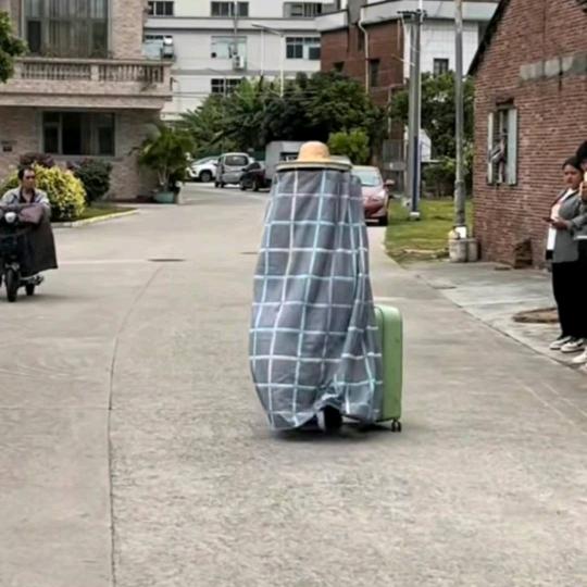 寒假十课