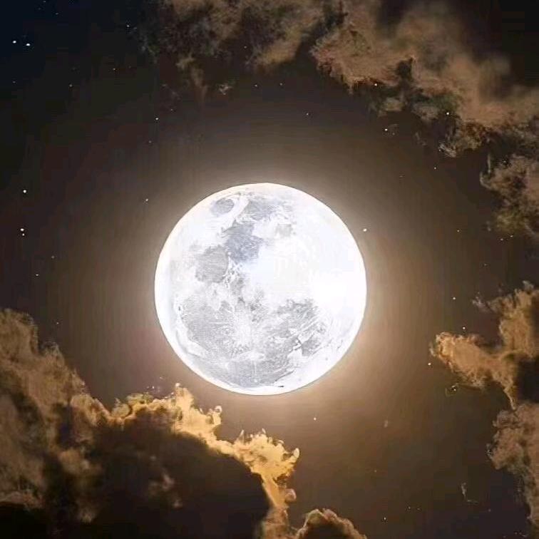 东华帝君的三个枣°