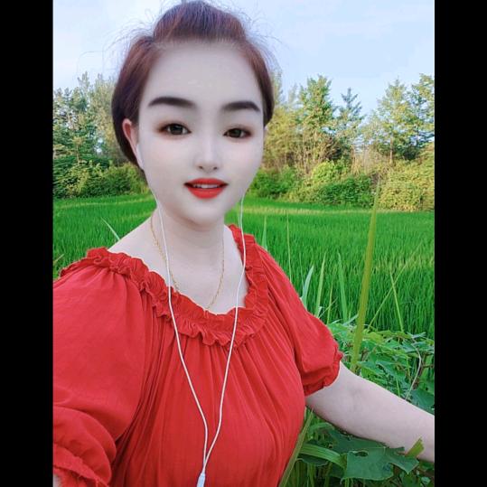 清风淡云