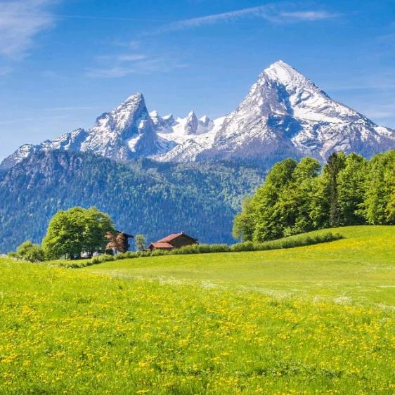 书中自有黄金屋