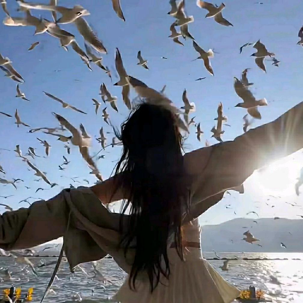 落叶知秋，我知你