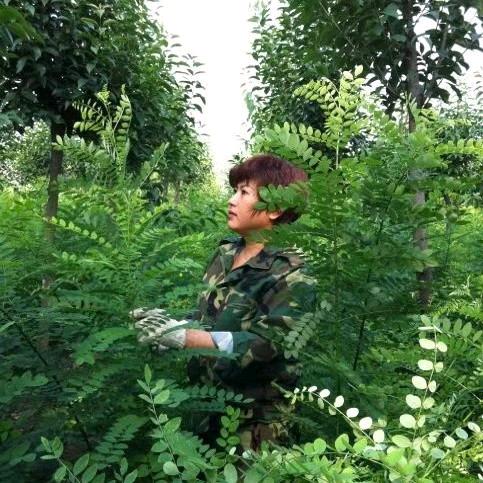 佛不渡我，我自渡