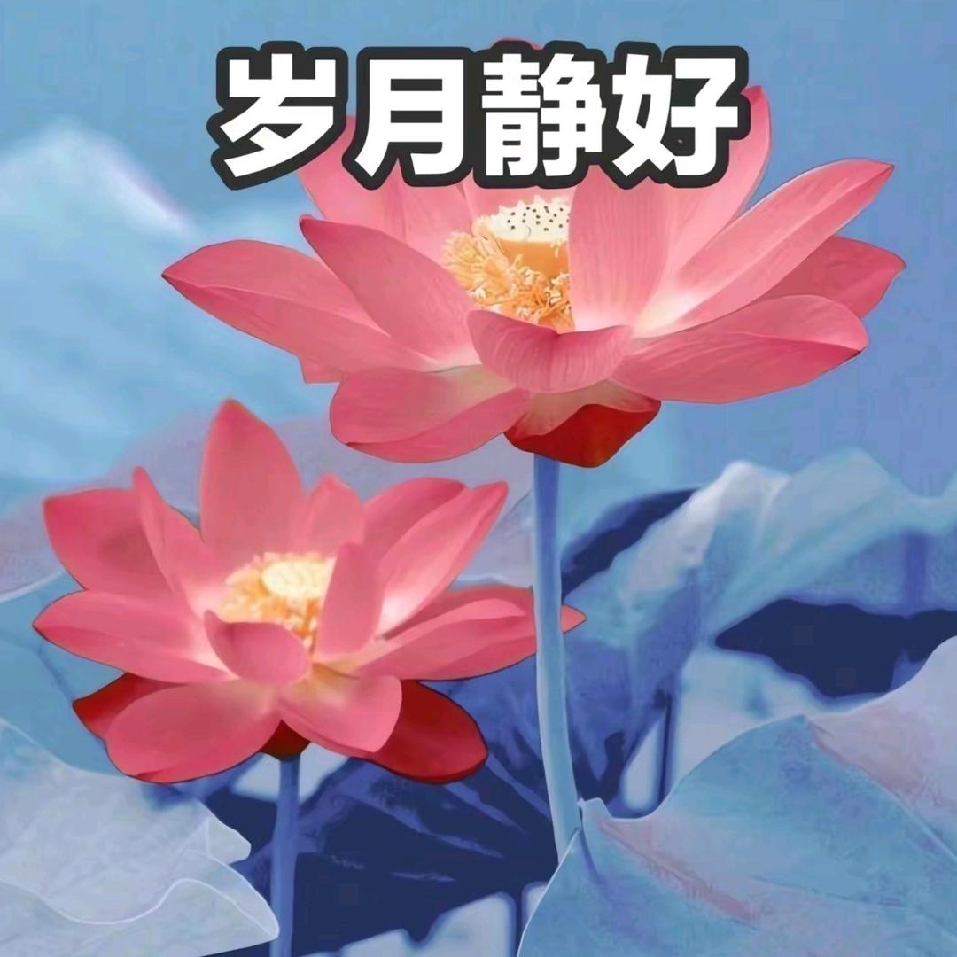 super.壮