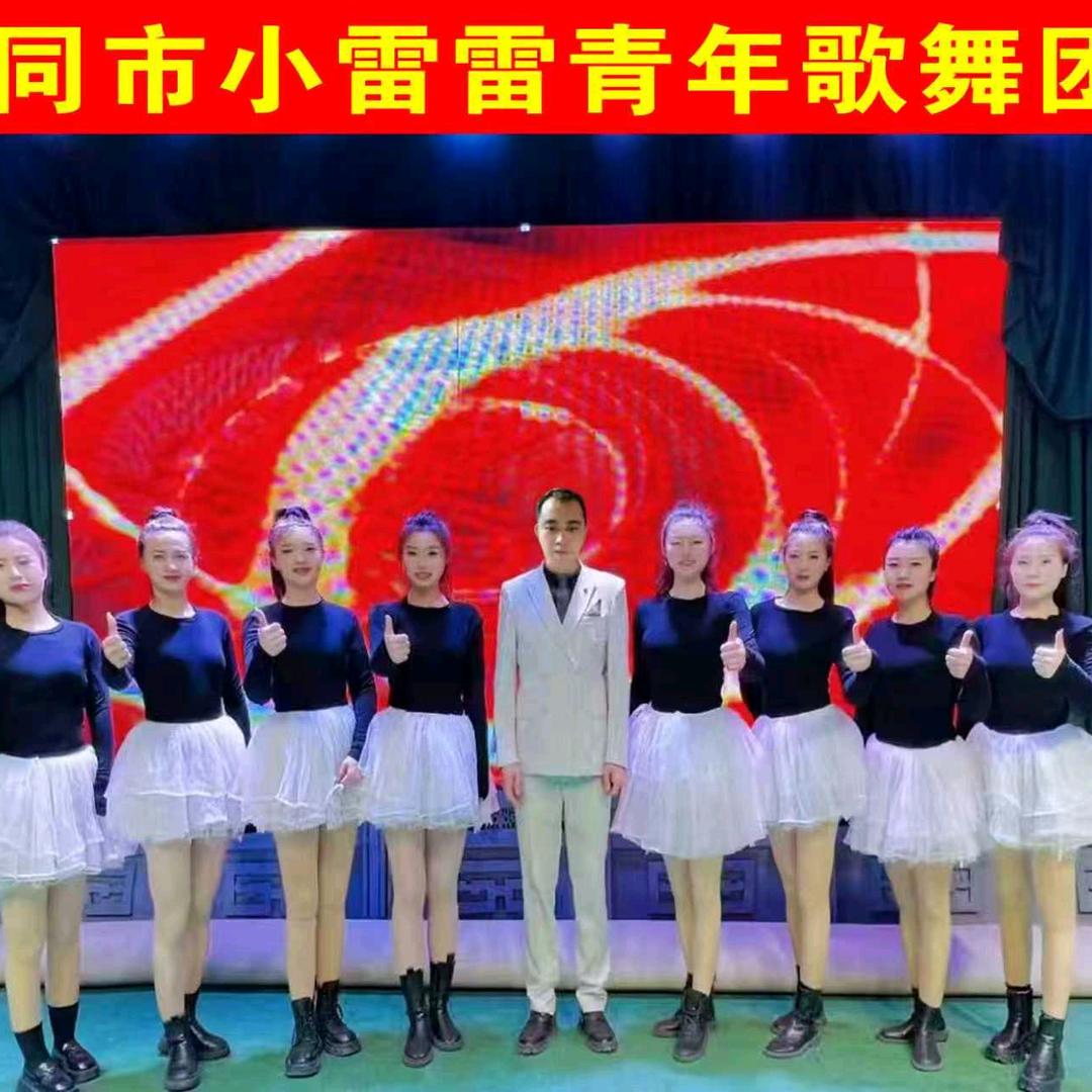 小雷雷文化传媒公司