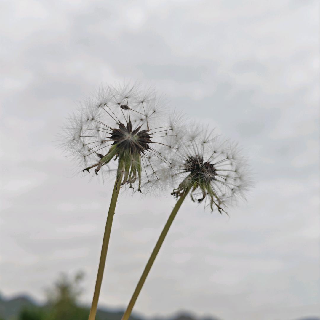 淡然◎