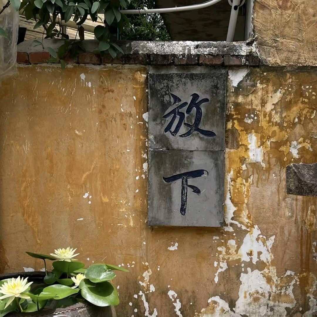 梦里不知身是客