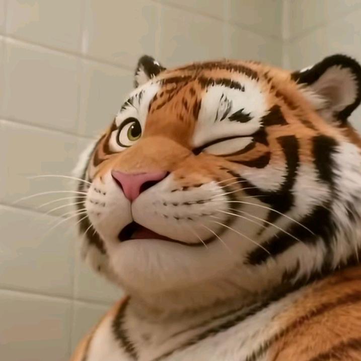 歪比巴卜🐯