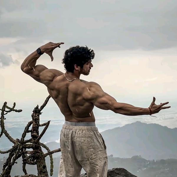 清风⛄(养生版)