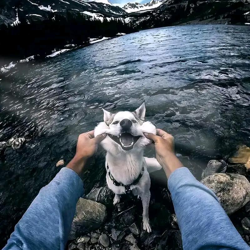 游标卡尺不孤独