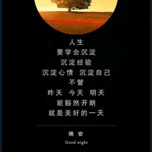 啊豪爱跑刀（三角洲贪吃的🐷）