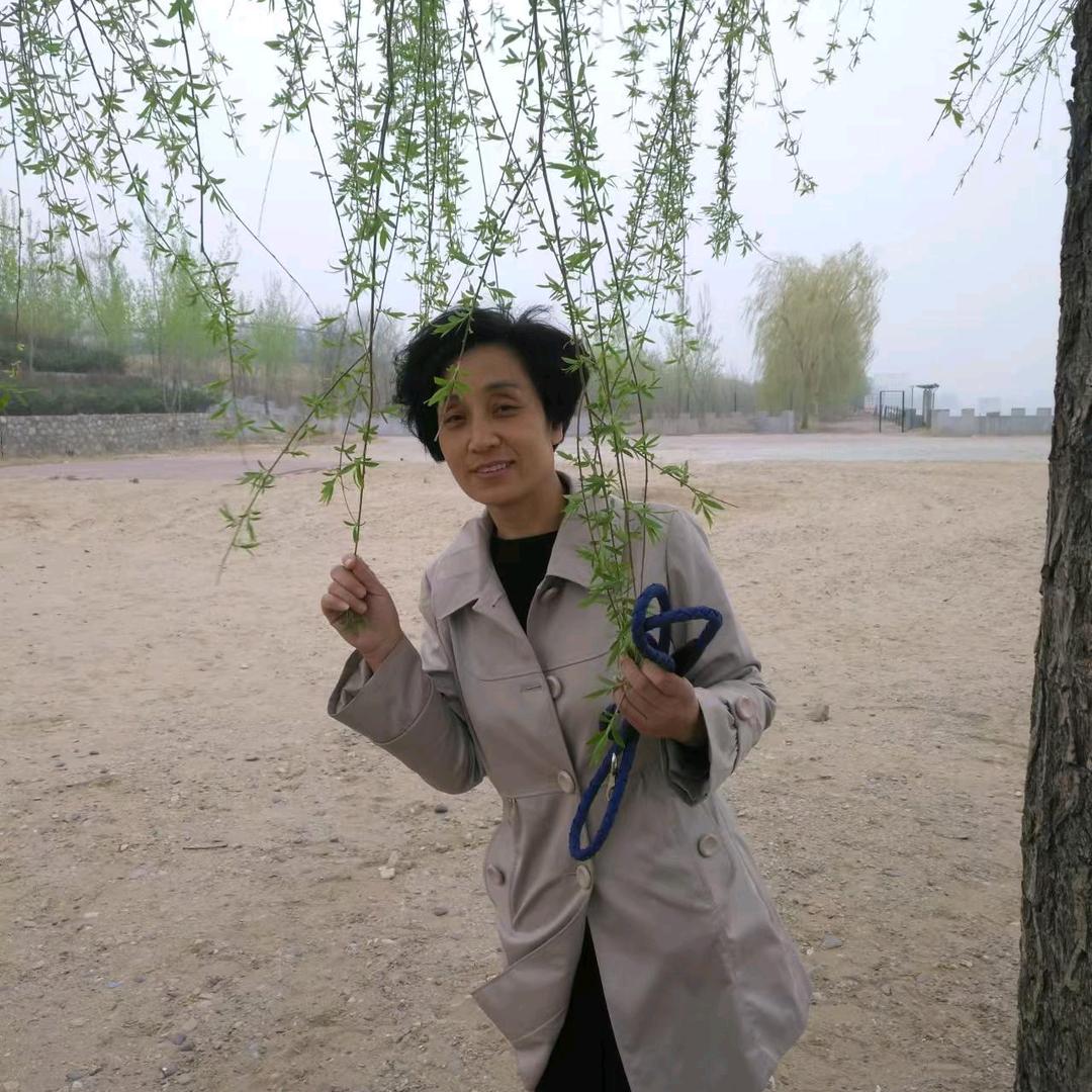 小辉兔头像