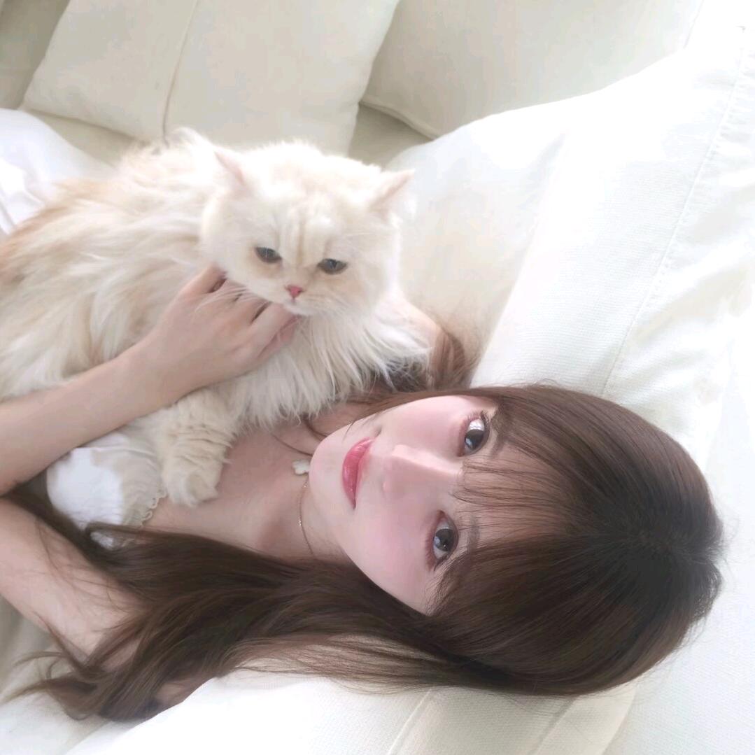 小羊羔崽