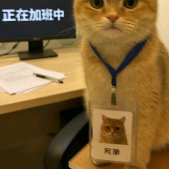 深圳广视听科技有限公司客服李悦