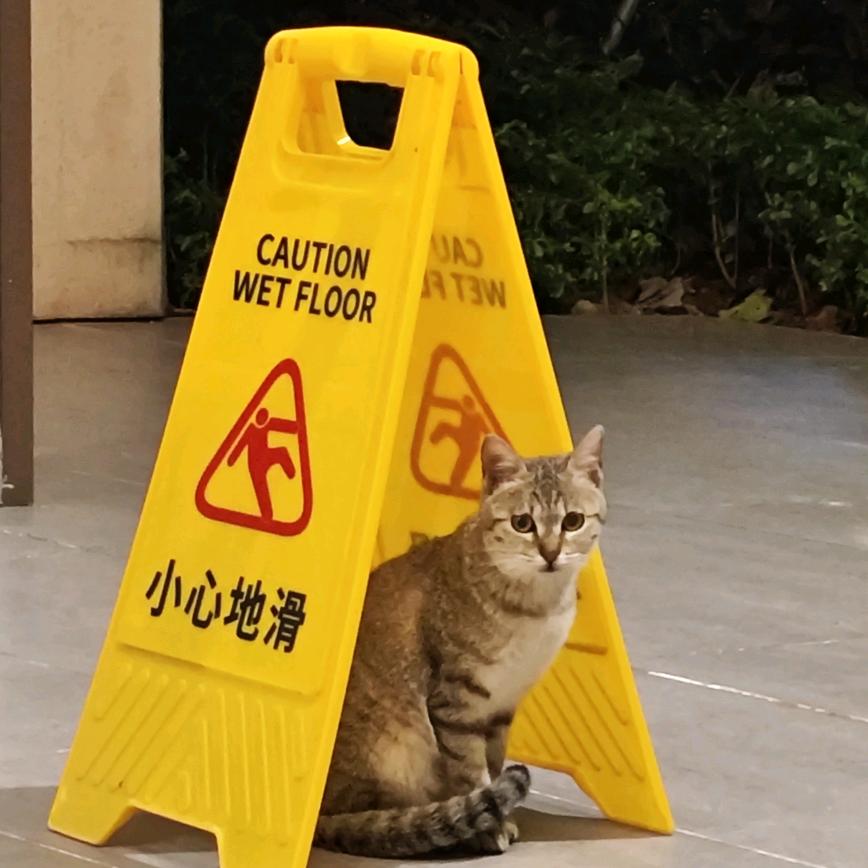 黄豆豆🍟