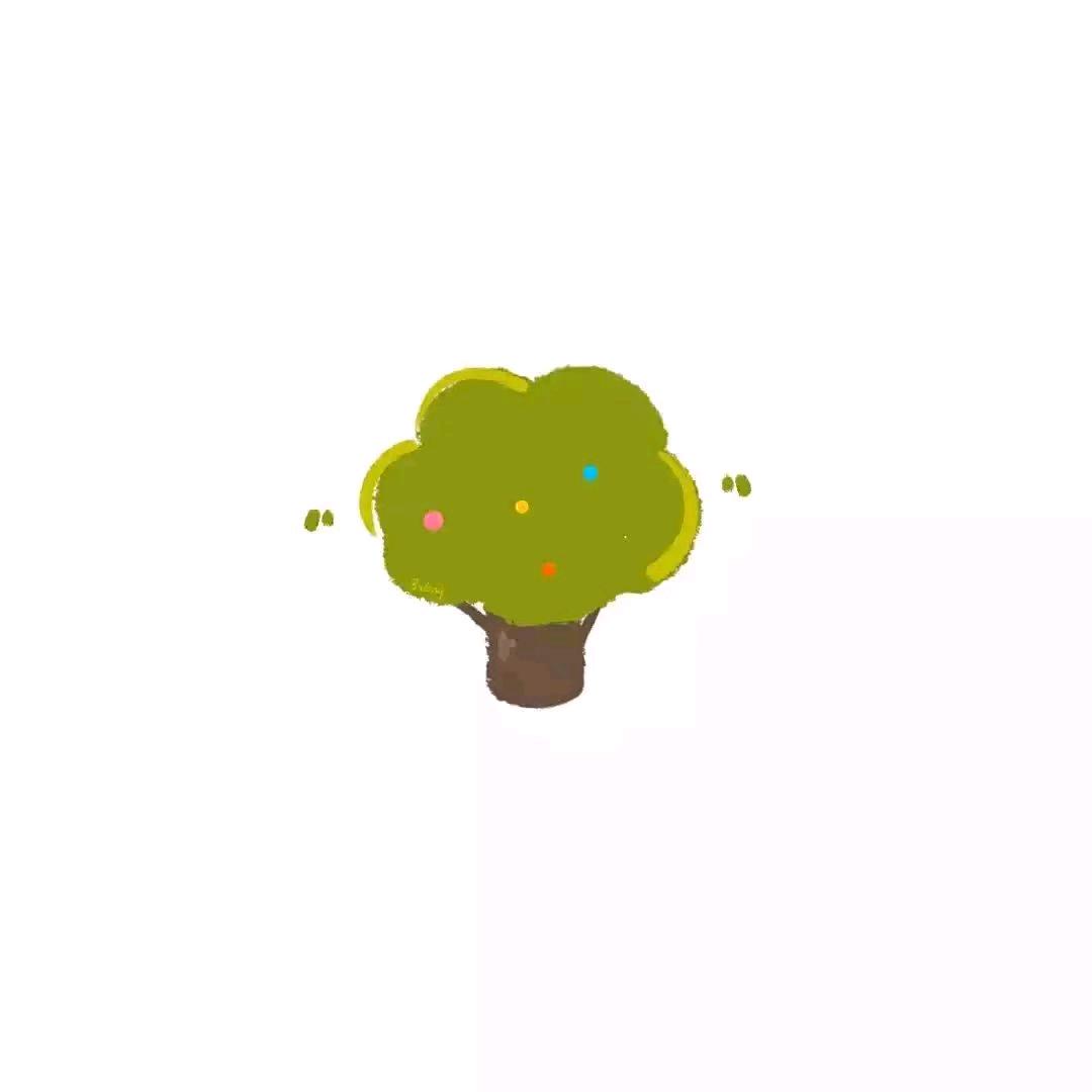 o泡