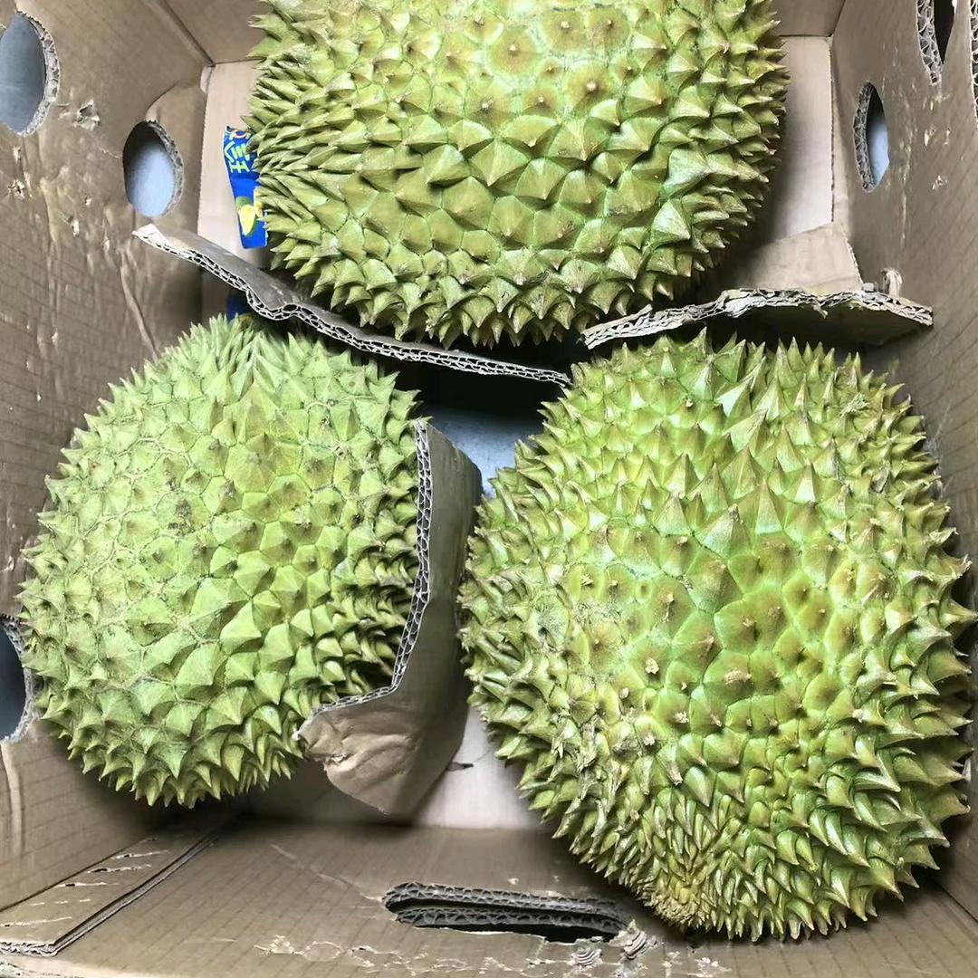 刘得华榴莲批发